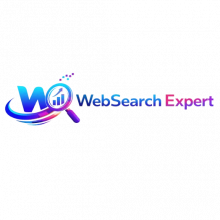 Web Search Expert