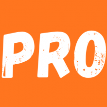 https://www.franchiseleadspro.com/