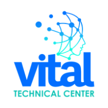 Vital Systems Engineering