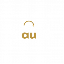 Alaukik Itech  Solution