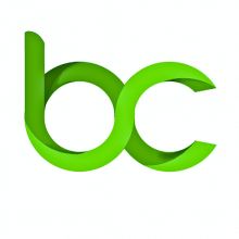 Bezalel Consulting