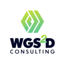 WGS2D Consulting