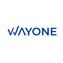 Wayone IT Solutions