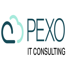 Pexo IT Solution LTD