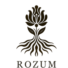 ROZUM Studio