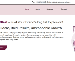 Berry Blast Media - Digital Marketing Agency in Mumbai | PPC | Social Media Marketing | SEO - untitled-1000-x-600-px-1-68a59f6c977c3-x2