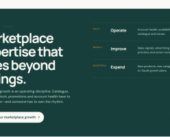 From Fragmented Execution to a Connected Marketplace Growth Programme - screenshot-2026-10-07-185310-6ac7330d42371-x2
