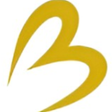 Bless Tech Solutions Pvt. Ltd.